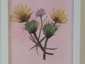 A watercolor painting of dandelion flowers in a pink frame.