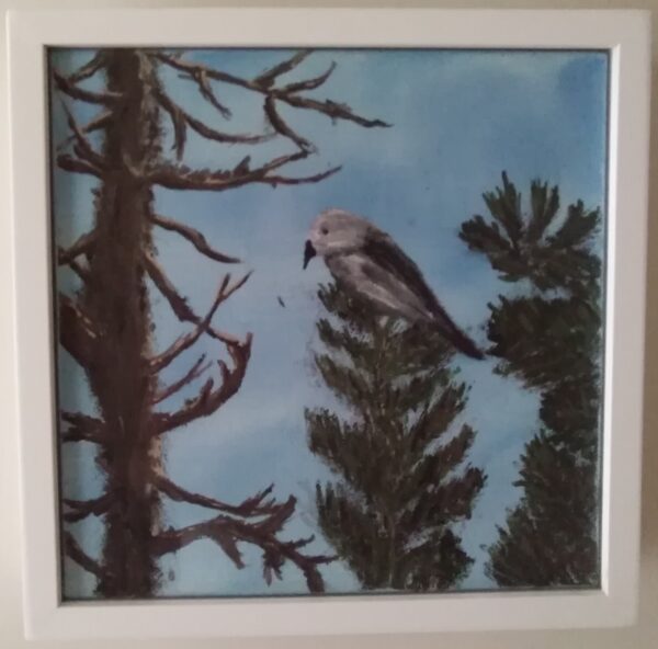 A painting of a bird perched on a pine tree.